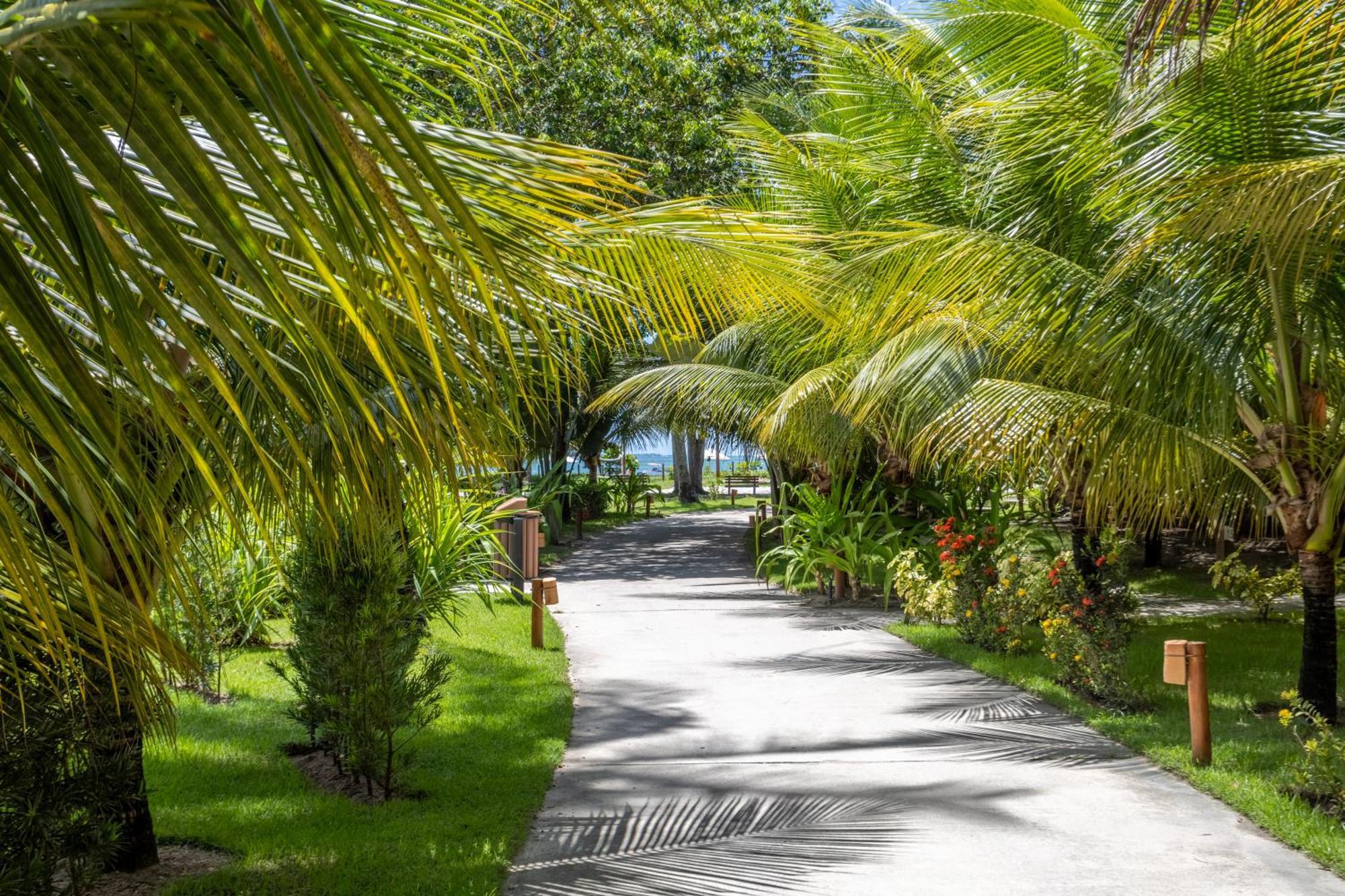Vista Linda Eco Resort Carneiros Тамандаре Екстер'єр фото